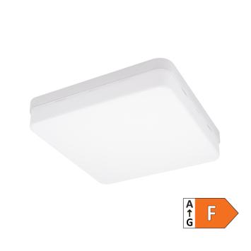 LED plafonjera 36W hladno bela